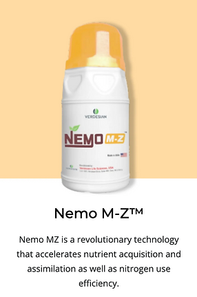 Nemo M-Z