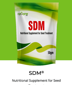 SDM