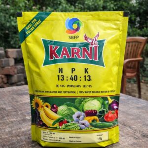 KARNI 13:40:13 (NPK)