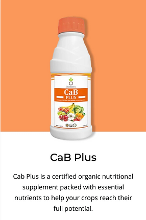 CabPlus