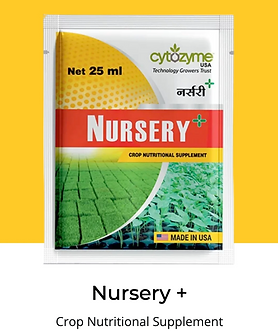 nursery
