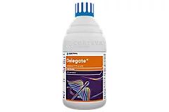 Delegate