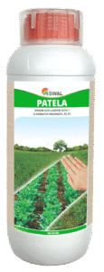 Patela