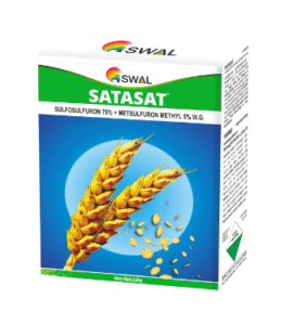 Satasat