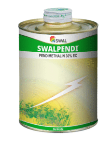 Swal Pendi