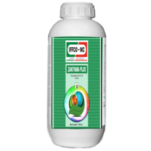 ZAKIYAMA PLUS