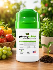 KARNI Primacy ALPHA